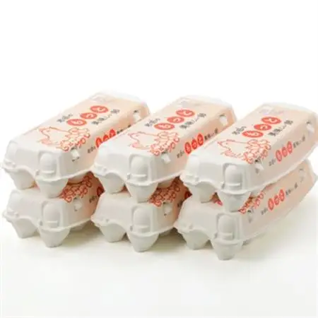 岩田のおいしい卵　実用中玉55個+破卵保障5個 (10個入り×6パック)_卵・乳製品 卵  たまご タマゴ 玉子_【配送不可地域：離島】【1081154】