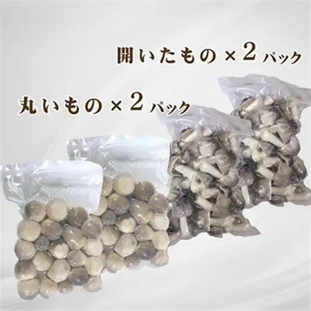 貴重な国産ふくろ茸　袋茸　フクロタケ【冷凍真空パック】丸いもの2パックと開いたもの2パック_野菜  きのこ _【配送不可地域：離島】【1247918】