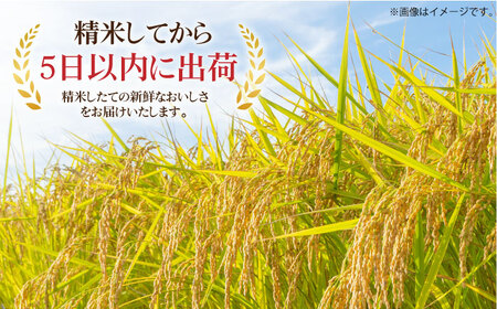 令和7年産 スーパープレミアム金のこしひかり 白米 計8kg（2kg×4袋） / 佐賀県 / 株式会社森光商店 [41ACBW038]