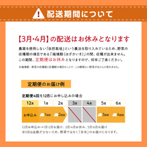 ＜京都産野菜定期便4回＞自然体な野菜セット 旬の野菜 野菜詰合せ 野菜セット 野菜定期便 ４回 自然農園 自然栽培 安心 安全 健康 マクロビ ベジタリアン 定期便 京野菜 京都 木津川  086-02-T03