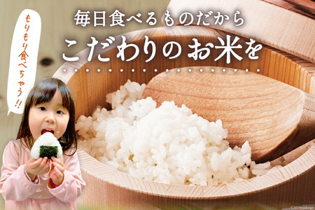 米 令和7年産 だて正夢 5kg [宮城県 気仙沼市 20565768] だて正夢