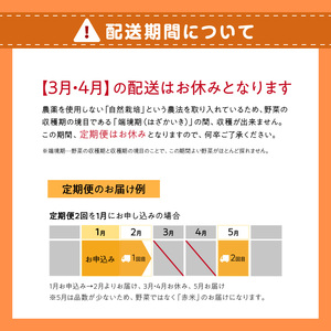＜京都産野菜定期便2回＞自然体な野菜セット 旬の野菜 野菜詰合せ 野菜セット 野菜定期便 2回 自然農園 自然栽培 安心 安全 健康 マクロビ ベジタリアン 定期便 京野菜 京都 木津川  086-02-T04