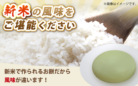 よもぎ餅 15個 1kg 【真空冷凍】【手作り】 小浜市 / 藤田餅店 [BFCK002] 【配送不可地域：北海道・沖縄・離島】 