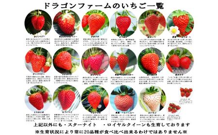 いちご狩り3名用チケット 体験チケット フルーツ狩り 親子 子連れ ファミリー 食べ比べ お出かけ 