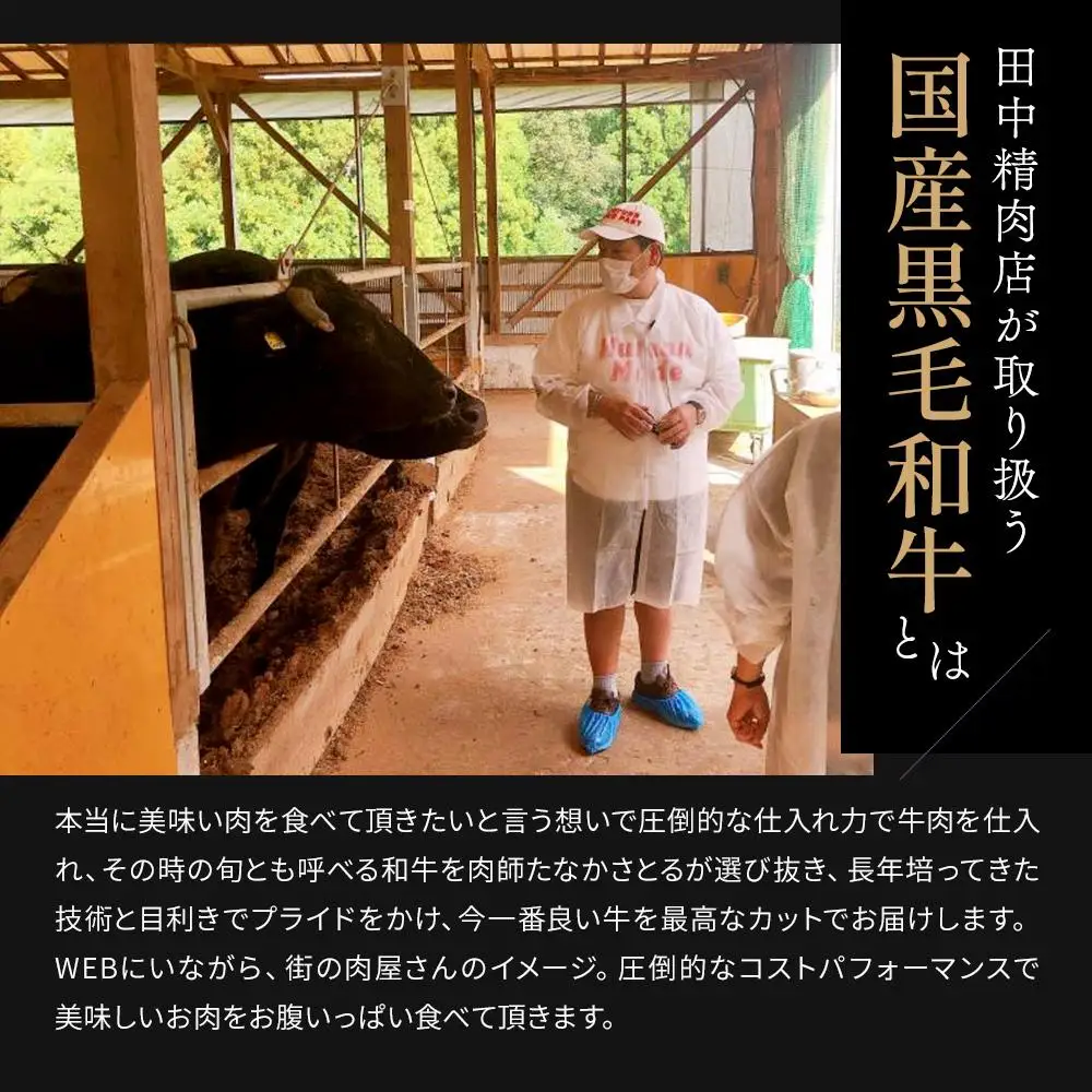 黒毛和牛 ロース A5ランク 焼肉 800g