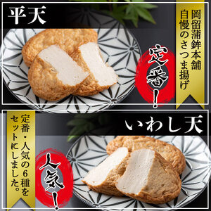 本場鹿児島のさつま揚げセット(全6種・計16枚) a1-100