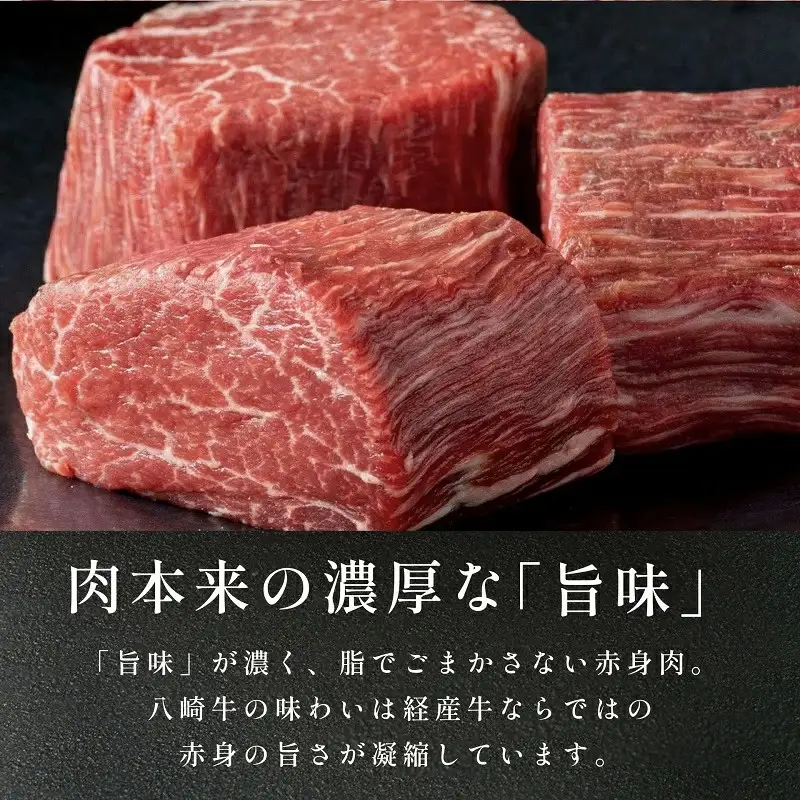 八崎牛のハンバーグ120g×8個 N0105-YZB246