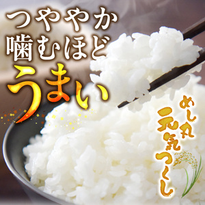 金のめし丸元気つくし 5kg 令和7年産_ 白米 お米 〔Gr045〕