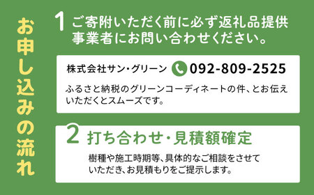 グリーンコーディネートチケット 11万円分【施工込み】糸島市 / サン・グリーン 園芸 植木 [AVN001]