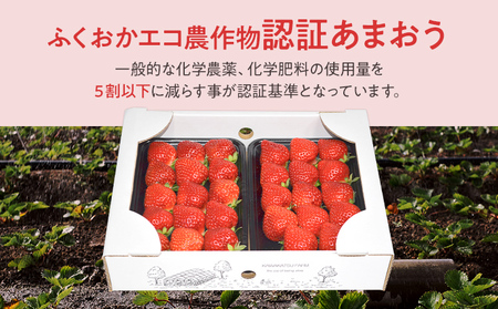 ふくおかエコ農作物認証あまおう 2Lサイズ 1箱セット あまおう イチゴ 苺 いちご フルーツ 果物 くだもの 福岡県産 お取り寄せグルメ お取り寄せ 福岡 お土産 九州 福岡土産 取り寄せ グルメ 福岡県