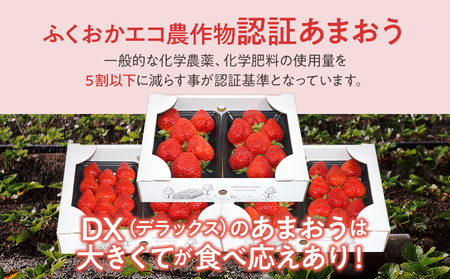 ふくおかエコ農作物認証あまおう DX等級のみ 2箱セット あまおう イチゴ 苺 いちご フルーツ 果物 くだもの 福岡県産 お取り寄せグルメ お取り寄せ 福岡 お土産 九州 福岡土産 取り寄せ グルメ 福岡県