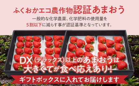 ふくおかエコ農作物認証あまおう ギフト DX等級以上 2箱セット あまおう イチゴ 苺 いちご フルーツ 果物 くだもの 福岡県産 お取り寄せグルメ お取り寄せ 福岡 お土産 九州 福岡土産 取り寄せ グルメ 福岡県