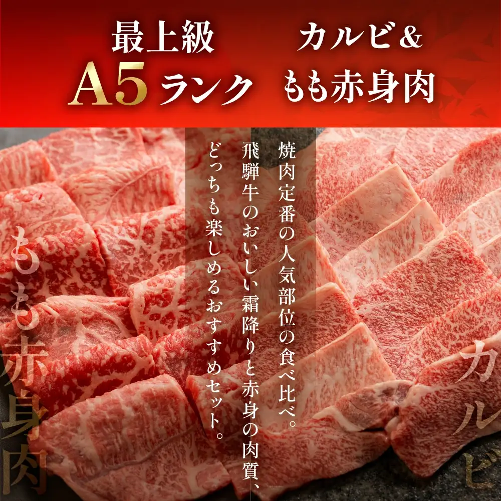 飛騨牛 ミックスカルビ＆もも赤身焼肉 520g（260g×2)【11-1012】