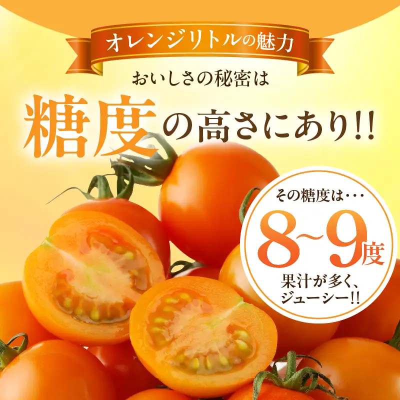 ≪期間限定≫オレンジリトル（計1.6kg） ミニトマト 野菜 サラダ 国産_T040-0015