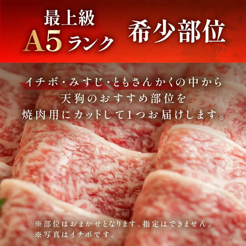 飛騨牛 希少部位 おまかせ1種 530g いちぼ みすじ ともさんかく【11-1019】