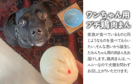わんちゃん用 プチ 鶏肉まん 2セット | 犬用 おやつ ペットフード 餌 えさ 誕生日 お祝い 九州産 大分県 中津市