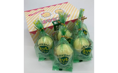 阿寒湖銘菓まりもプリン5個入と養殖まりもセット（ピンク） 北海道 釧路 ふるさと納税 養殖まりも 飼育 プリン カスタード スイーツ 菓子 F4F-1862