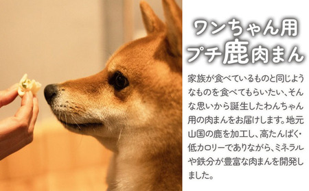 わんちゃん 詰め合わせセット 3種×各1袋ずつ | 犬用 おやつ ペットフード 餌 えさ 誕生日 お祝い 九州産 大分県 中津市