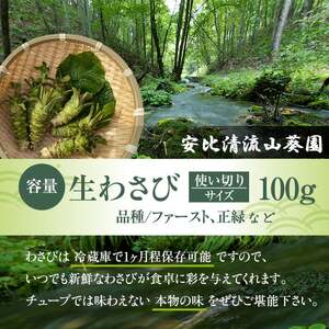 岩手県産 生わさび 使い切りサイズ 100g 【安比清流山葵園】 ／ 山葵 ワサビ わさび 薬味 国産 八幡平市産 産地直送 新鮮 調味料 刺身 蕎麦 和え物 漬け物 刻み おろし 辛味 お寿司 そば 肉の薬味 魚の薬味 そばの薬味 おすすめ オススメ