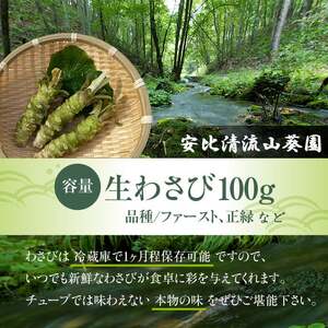 岩手県産 生わさび 100g 【安比清流山葵園】／ 山葵 ワサビ わさび 薬味 国産 八幡平市産 産地直送 新鮮 調味料 刺身 ステーキ お肉 蕎麦 和え物 漬け物 刻み おろし 辛味 和食 お寿司 そば 肉の薬味 魚の薬味 そばの薬味 料理 自宅用 家庭用 おすすめ オススメ お取り寄せ 日本産