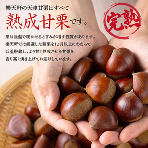 天津甘栗 甘栗 天津甘栗(500g) I-288 | 奈良県奈良市 | ふるさと納税サイト
