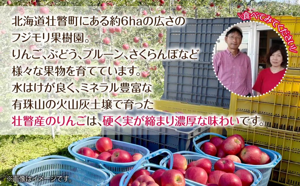 【先行予約】北海道壮瞥町産りんご「おいらせ」約3kg(7～10玉)＜2026年11月初旬にお届け＞ SBTF005