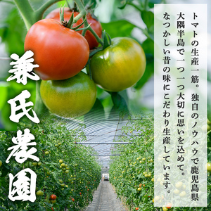 【P74002】ぜいたくトマト(約1.8kg) フルーツトマト 完熟 こだわり とまと トマト 大玉品種 夏野菜 野菜 産地直送【兼氏農園】