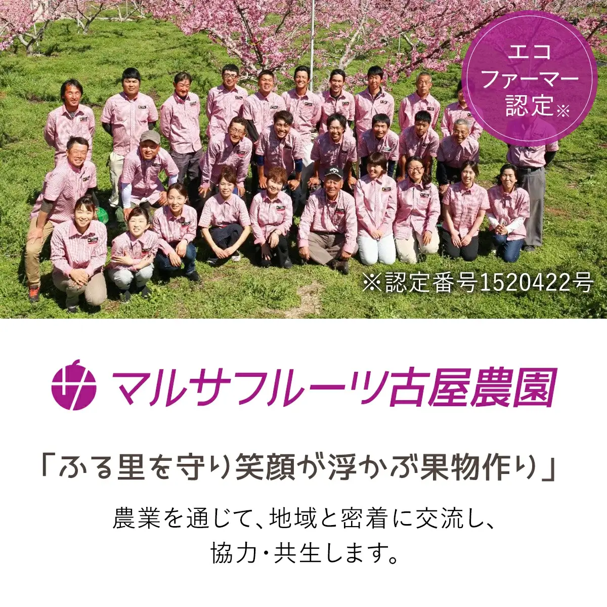 【2026年発送★先行予約】【数量超限定】夢白桃 2.3kg以上（5～6個）光センサ使用　糖度13.5％以上　朝摘み産地直送 088-029