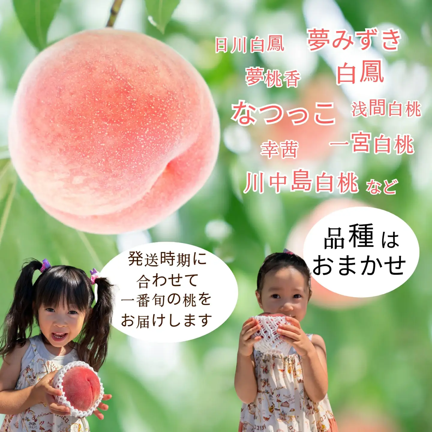 【2026年発送★先行予約】桃の一大産地！笛吹市産旬の桃1.8kg 167-007