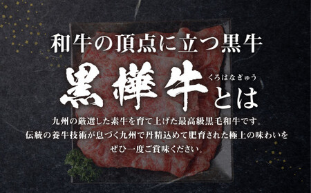 くまもと黒毛和牛 杉本本店 黒樺牛 A4~A5等級 肩ローススライス 350g くろはなぎゅう