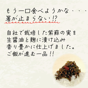 漬物 ごはんへらし 200g (100g×2)