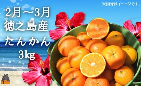 フルーツアイランド徳之島 季節のフルーツ定期便 ( 3回お届け 完熟マンゴー マンゴー パッションフルーツ たんかん 柑橘 果物 徳之島 奄美 鹿児島 定期便 世界自然遺産 旬 )