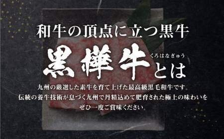 くまもと黒毛和牛 黒樺牛 A4～A5等級 ローススライス すき焼き用 250g