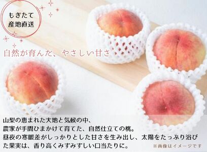 【市川三郷町産】プレミアム 桃2玉　【2026年7月中旬から発送】！Inakakara[5839-2017]