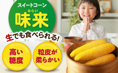 【8月下旬以降順次発送】スイートコーン 味来 13本 2Lサイズ / とうもろこし [AJAK006]