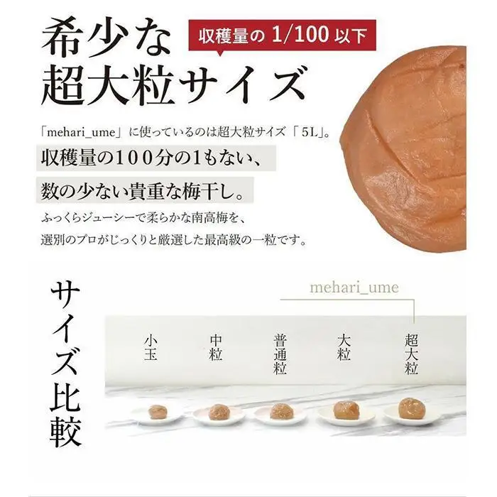 紀州南高梅 超大粒 mehari_ume6粒【ギフト 化粧箱入り 贈答用】