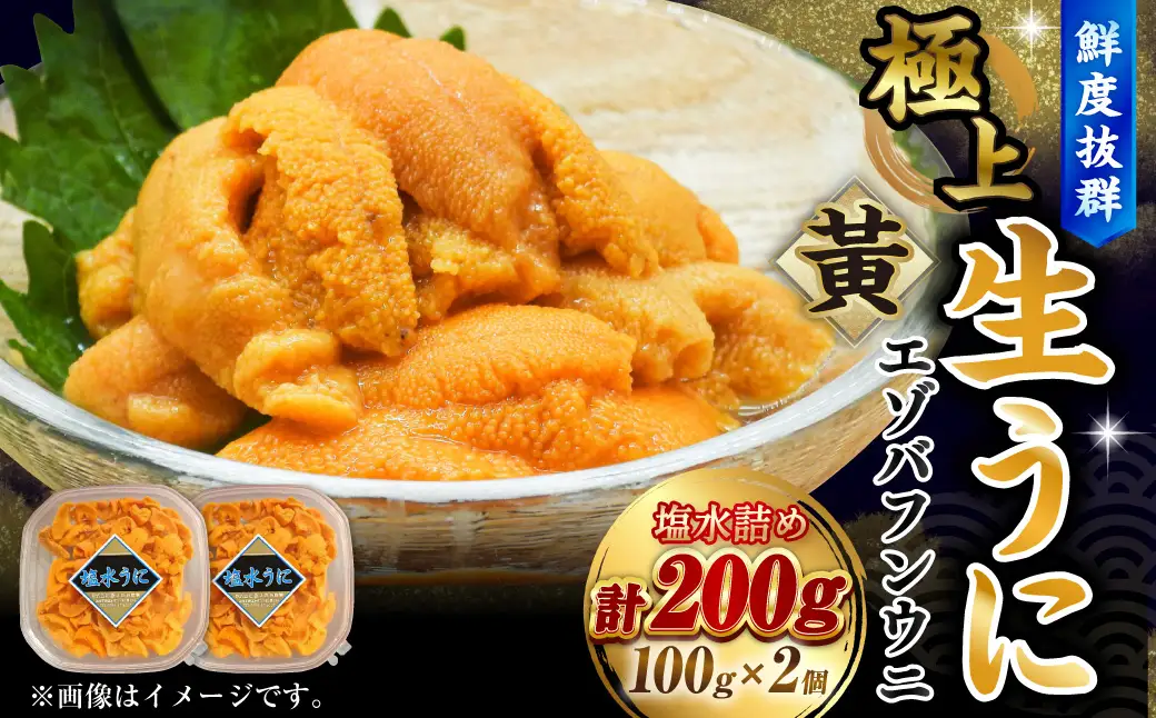 【鮮度抜群！特選・極上えぞバフンうに【黄】】塩水詰め100g×2個 ふるさと納税 うに