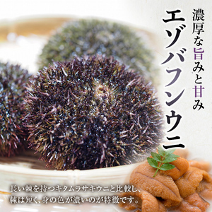 生うに塩水詰め100g×3【鮮度抜群！極上生えぞバフンうに】 ふるさと納税 うに F4F-3214