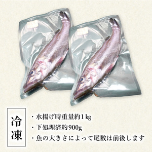 アラ 約1kg 産地直送 冷凍 下処理済 あら 𩺊 高級魚 水揚げ時重量約1kg 下処理後約900g