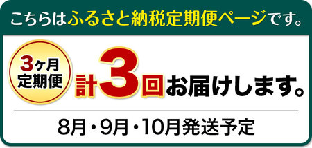 【先行予約】【3ヶ月定期便】 シャインマスカット マスカット 晴王 はれおう 2房入り(1房600g以上) 化粧箱入 株式会社山博(中本青果)《8月下旬から10月下旬出荷予定》 定期 計3回お届け 岡山県 浅口市 ぶどう マスカット 大粒 フルーツ 秀品 旬 果物 贈り物 ギフト 送料無料 【配送不可地域あり】（北海道・沖縄・離島）