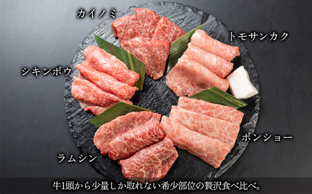 【数量限定】飛騨牛 希少部位5種 焼肉盛り合わせ 各100g  計500g  (ラムシン、ボンショー、カイノミ、トモサンカク、シキンボウ) 【70-45】