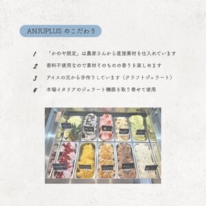 1161-1 ジェラート 詰め合わせ 8個入り KN053-001-01 アイス 菓子