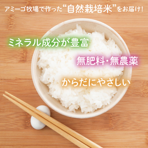 【先行予約】【2025年11月中旬頃順次発送予定】令和7年産 2kg アミーゴ米 【白米】（コシヒカリ・自然栽培米（７年目）・天日干し米）｜茨城県 大子町 袋田 米 精米 おだがけ米 はざがけ米 いねかけ米 先行予約 農福連携 コシヒカリ 白米（CA011）