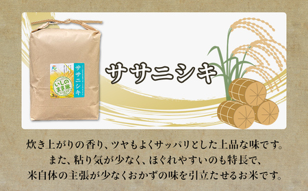 ＜定期便2回・毎月発送＞ ササニシキ いしのまき産米 精米 6kg 3kg×2回