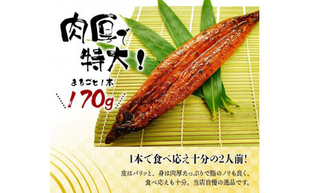 ■【全3回定期便】大型サイズ ふっくら柔らか 国産うなぎ蒲焼き 2尾×3回 計6尾 約1020g 【tkb309-h】