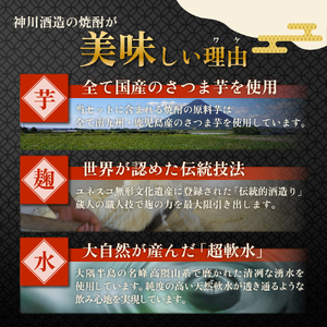 【超特急便】2212-1 鹿児島限定 芋 焼酎 飲み比べセット25度 900ml × 6本 神川酒造 鹿児島県 鹿屋市産 三浦屋 オリジナル KN083-002-01 酒 スピード配送 最短 すぐ届く お急ぎ