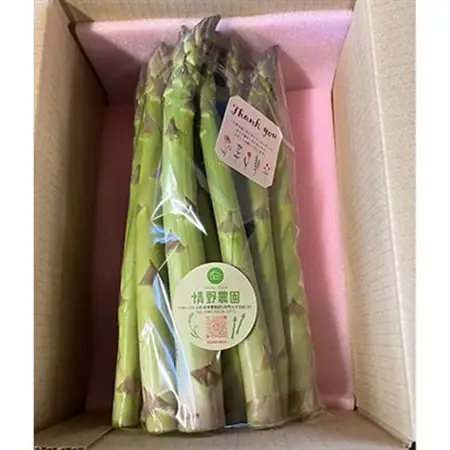 【令和8年産】先行受付!春芽アスパラガス約1kg(L～2Lサイズ 25～45本前後)_野菜 アスパラガス  _【配送不可地域：離島・北海道・沖縄県・信越、北陸・東海・近畿・中国・四国・九州】【1470202】