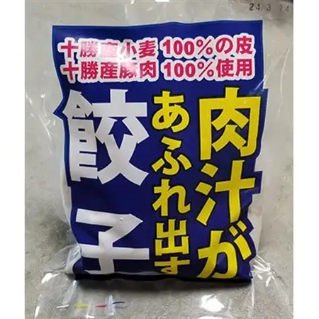 【2ヵ月毎定期便】肉汁があふれ出す餃子 全3回_惣菜・加工品 餃子  ぎょうざ ギョウザ  定期便 定期便  _【配送不可地域：離島】【4007369】
