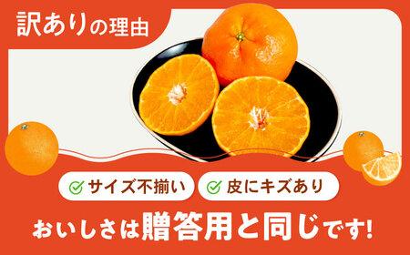 みかん 訳あり 甘平 サイズ不揃い 約3kg フルーツ 果物 みかん 訳あり BJAZ005