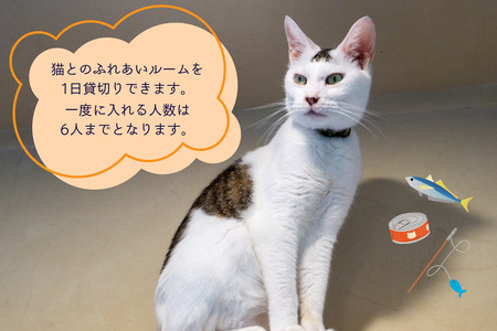 猫スペース1日貸し切り券